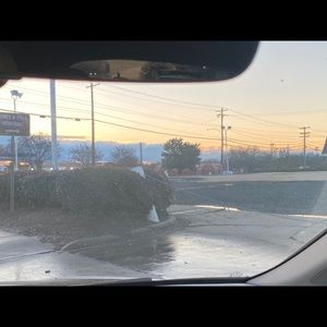 Meet your Posher, Maureen